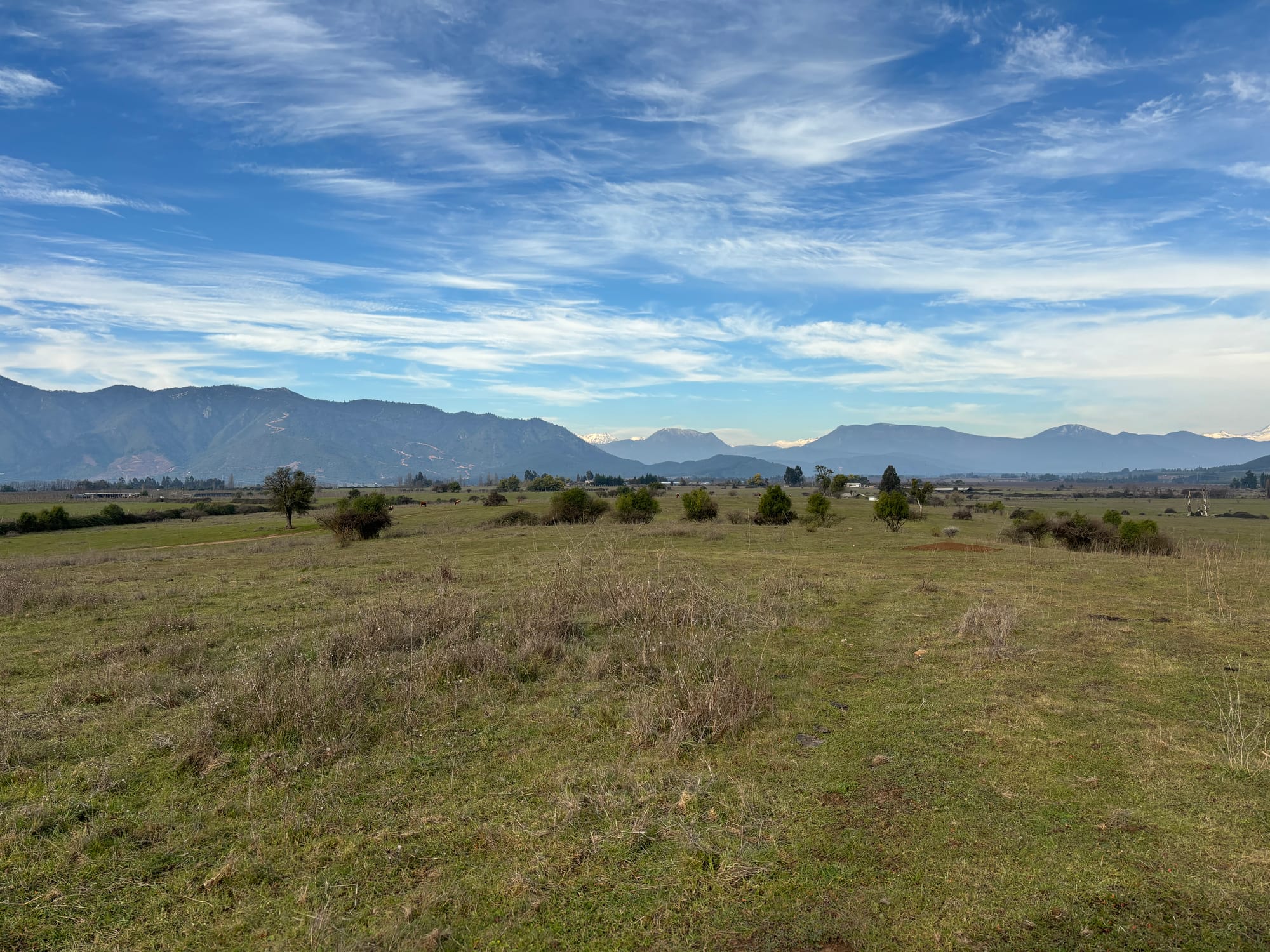 ¡Oportunidad única para productores de frutales! vende campo agrícola en Río Claro, Región del Maule