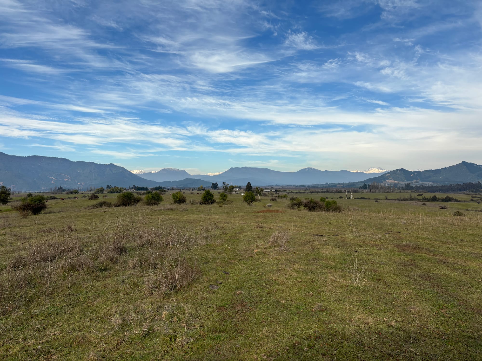 ¡Oportunidad única para productores de frutales! vende campo agrícola en Río Claro, Región del Maule