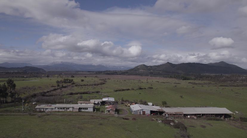 ¡Oportunidad única para productores de frutales! vende campo agrícola en Río Claro, Región del Maule
