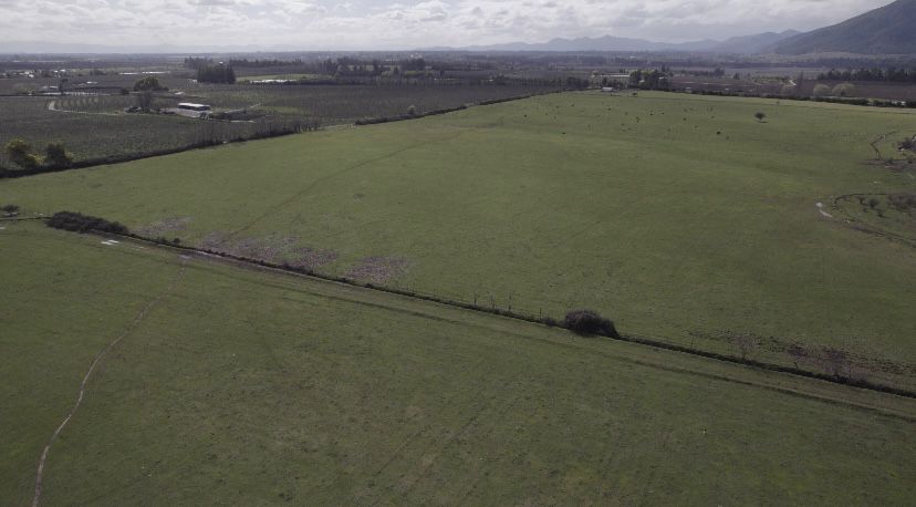 ¡Oportunidad única para productores de frutales! vende campo agrícola en Río Claro, Región del Maule