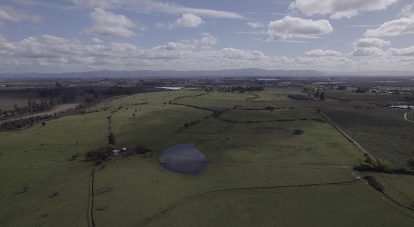 ¡Oportunidad única para productores de frutales! vende campo agrícola en Río Claro, Región del Maule