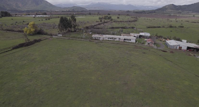 ¡Oportunidad única para productores de frutales! vende campo agrícola en Río Claro, Región del Maule