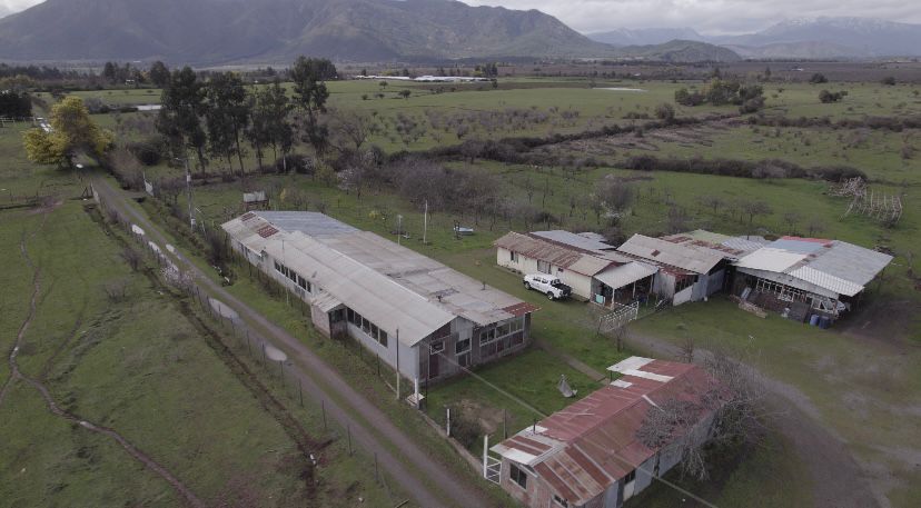 ¡Oportunidad única para productores de frutales! vende campo agrícola en Río Claro, Región del Maule