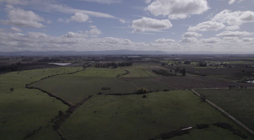 ¡Oportunidad única para productores de frutales! vende campo agrícola en Río Claro, Región del Maule