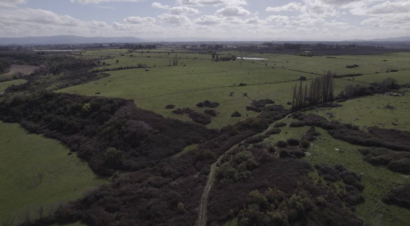 ¡Oportunidad única para productores de frutales! vende campo agrícola en Río Claro, Región del Maule