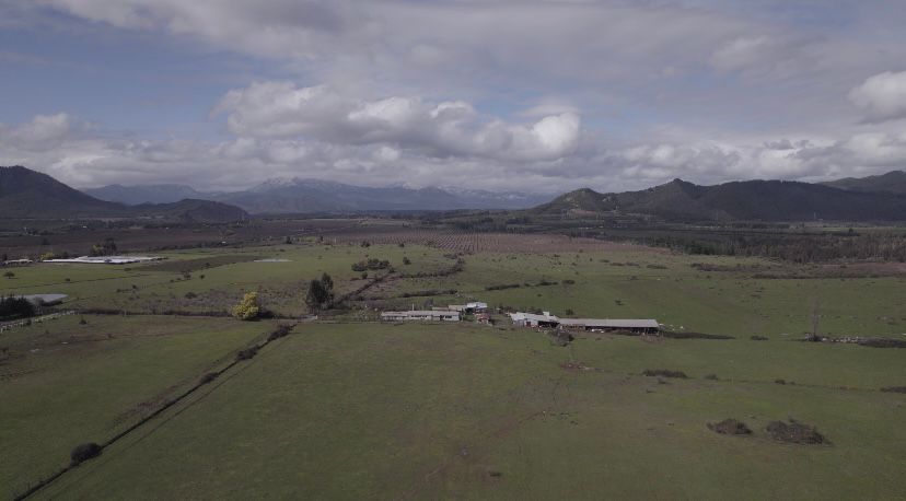 ¡Oportunidad única para productores de frutales! vende campo agrícola en Río Claro, Región del Maule
