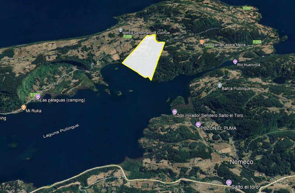 Terreno 46,55 hectáreas comuna Panguipulli.