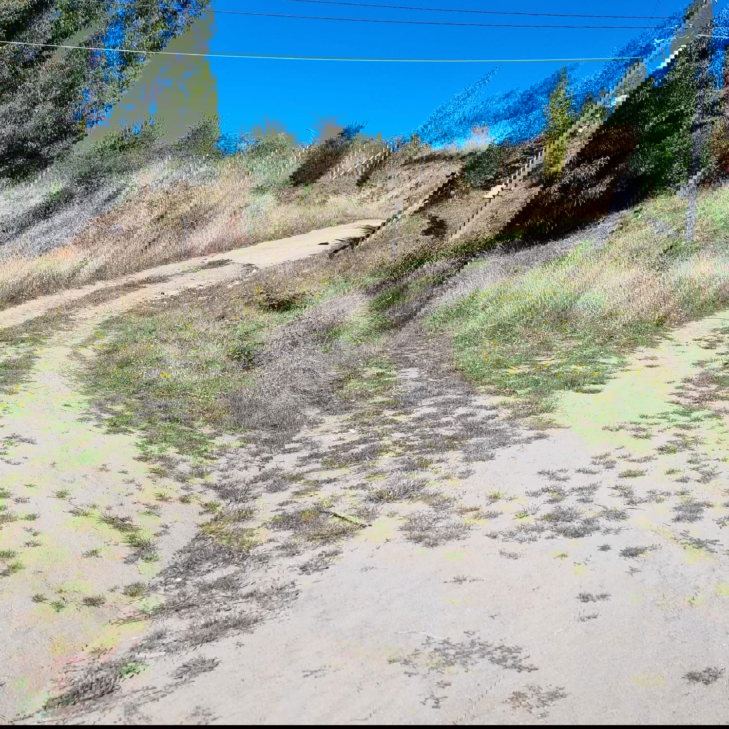 ¡Atención Inversionistas! Oportunidad única en Castro