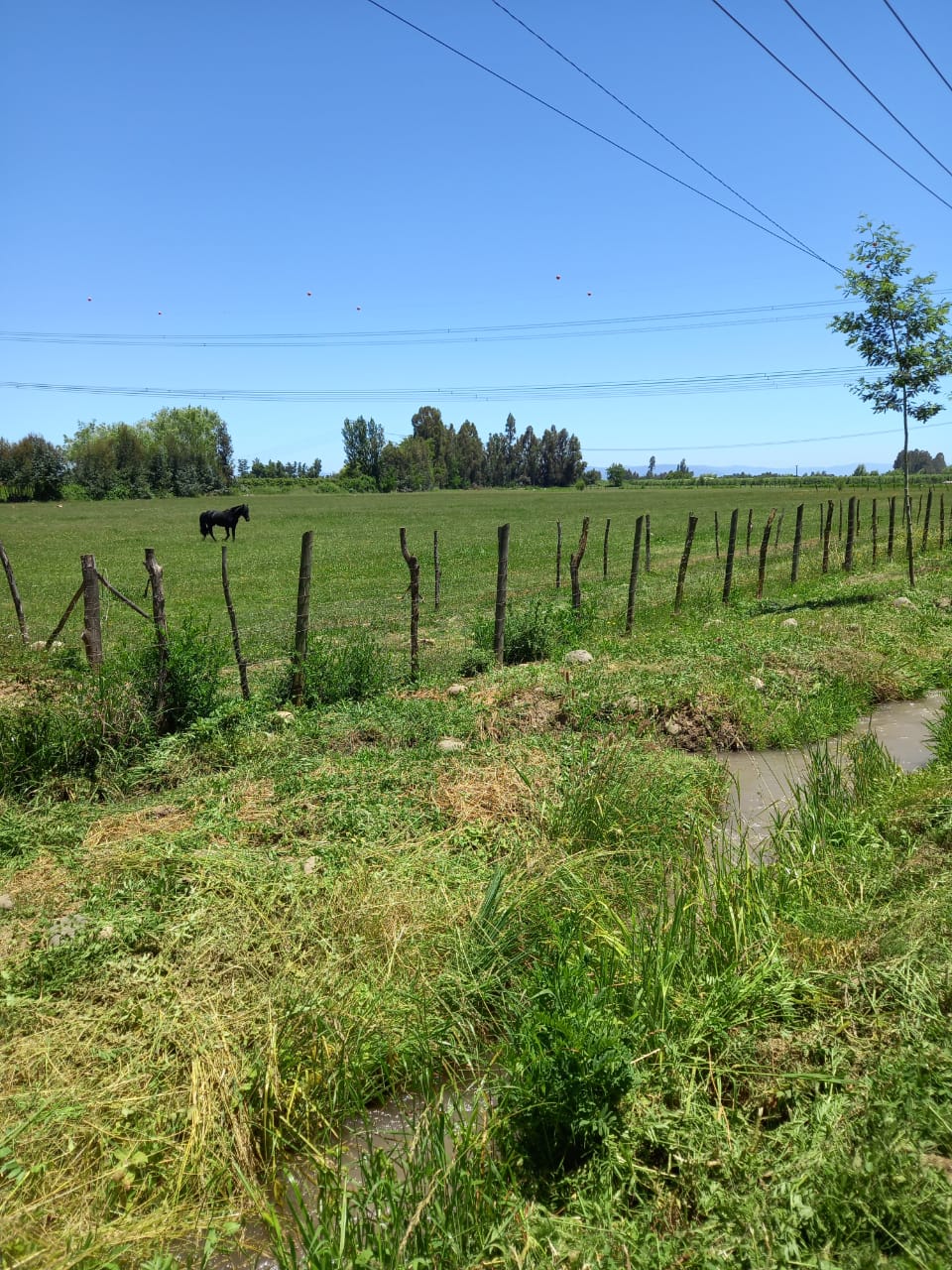Vende desde 5000 m2 en Cordillerilla - Curicó