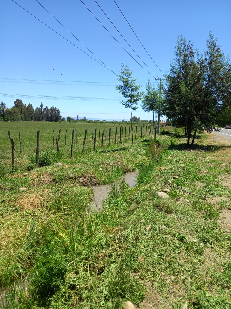 Vende desde 5000 m2 en Cordillerilla - Curicó