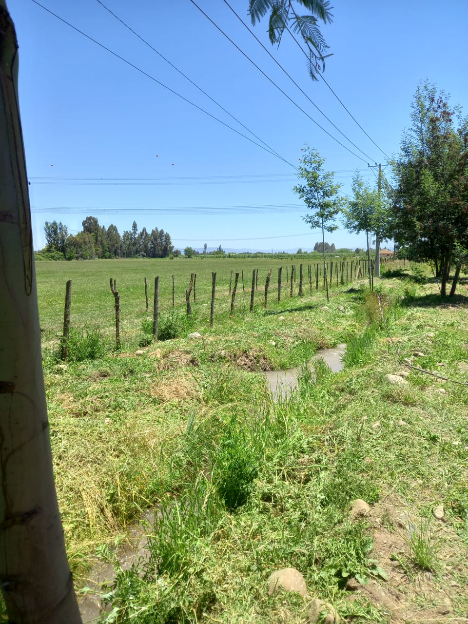 Vende desde 5000 m2 en Cordillerilla - Curicó