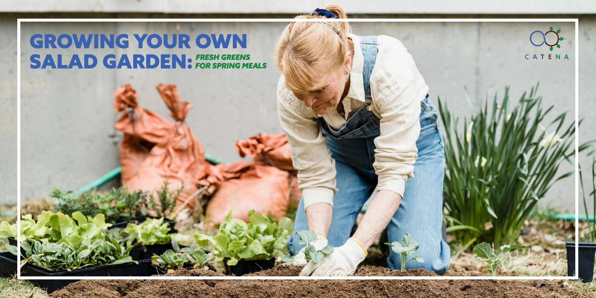 Growing Your Own Salad Garden: Fresh Greens for Spring Meals