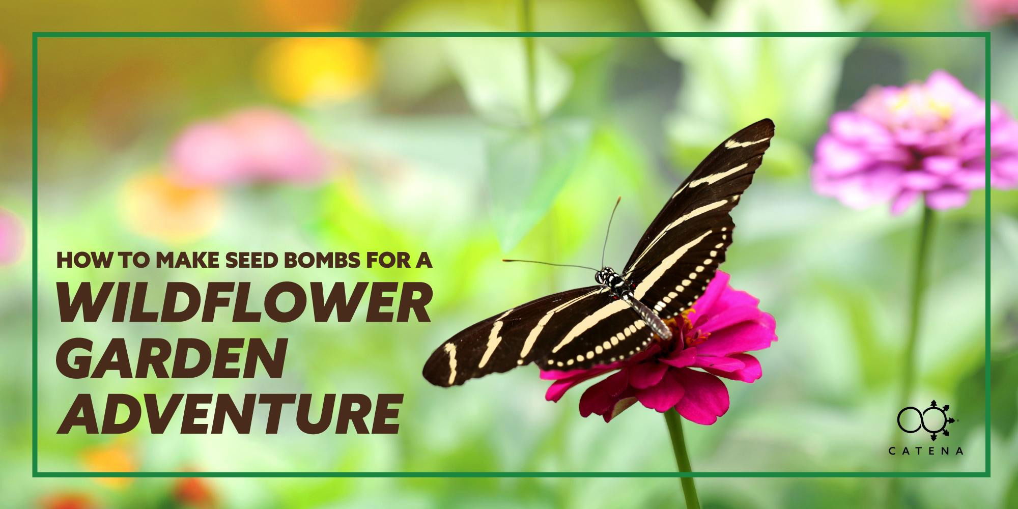 How to Make Seed Bombs for a Wildflower Garden Adventure