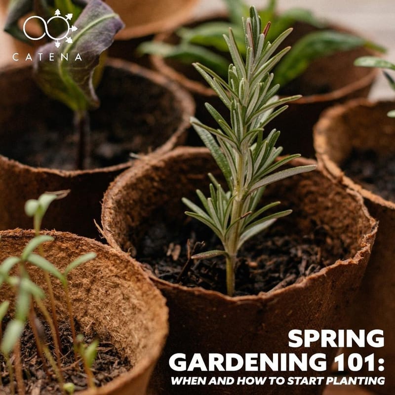 Spring Gardening 101: Best Planting Times & Tips for a Thriving Garden