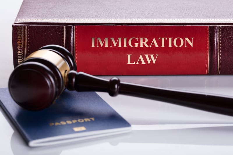 Immigration Law, Administrative Law & Appeals