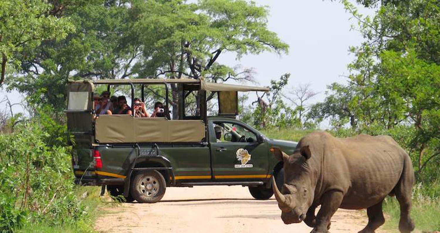3 Day - Best Of Kruger Safari