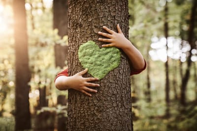 TERRA CORPO image