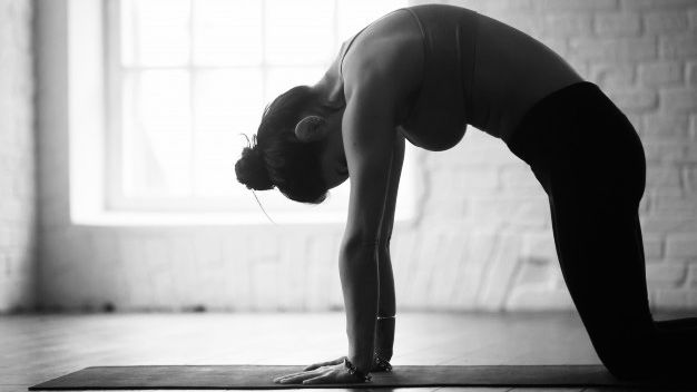 Workshop Pilates pour un dos heureux