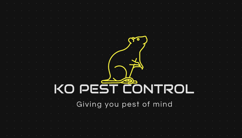 Logo KO-Pest Control Somerset