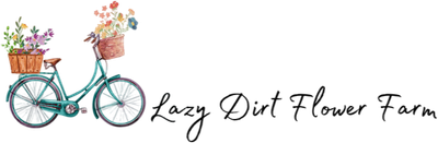 Lazy Dirt Wildflower Farm