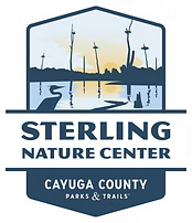 Permaculture Design for Your Yard