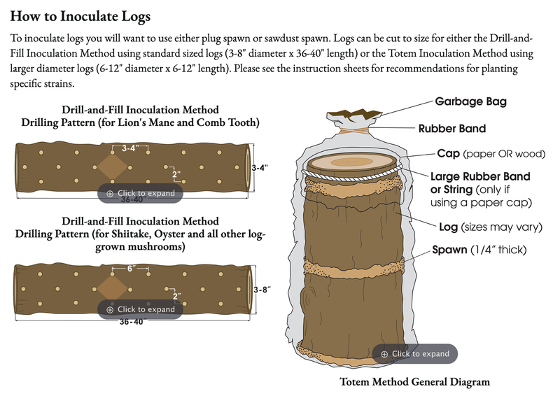 Mushroom Inoculation Drop-In Workshop