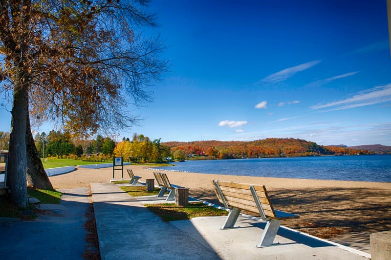 Spring - Summer 2026