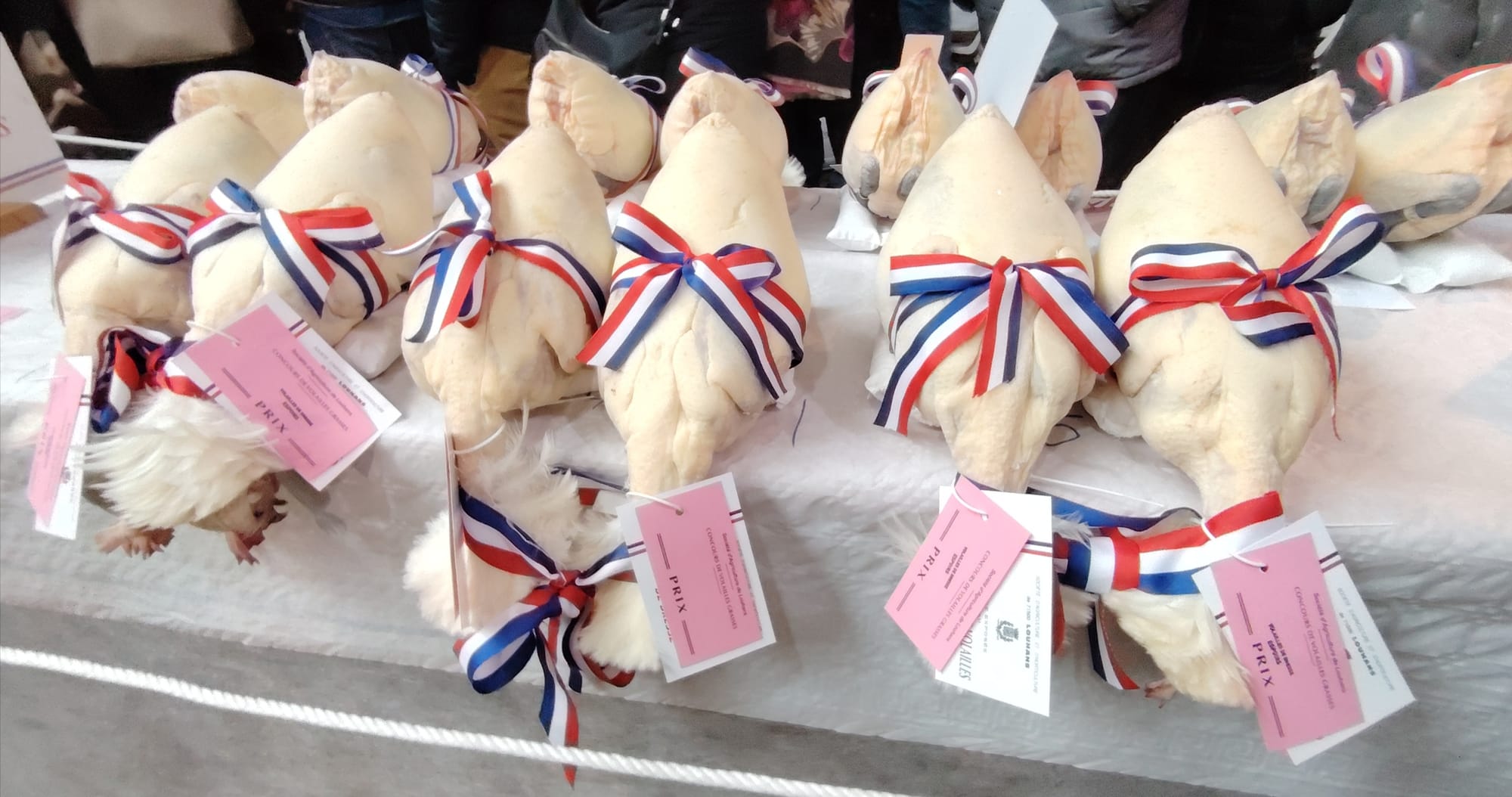 Les Glorieuses de Bresse