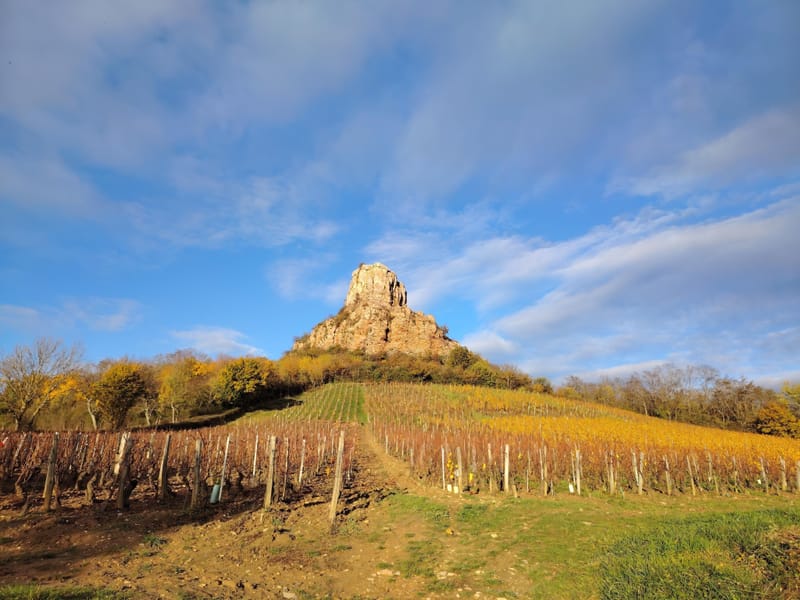 Visites en Bourgogne