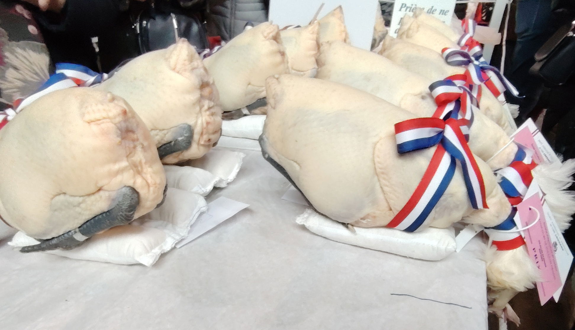 Chapons, dindes et poulardes par centaines !