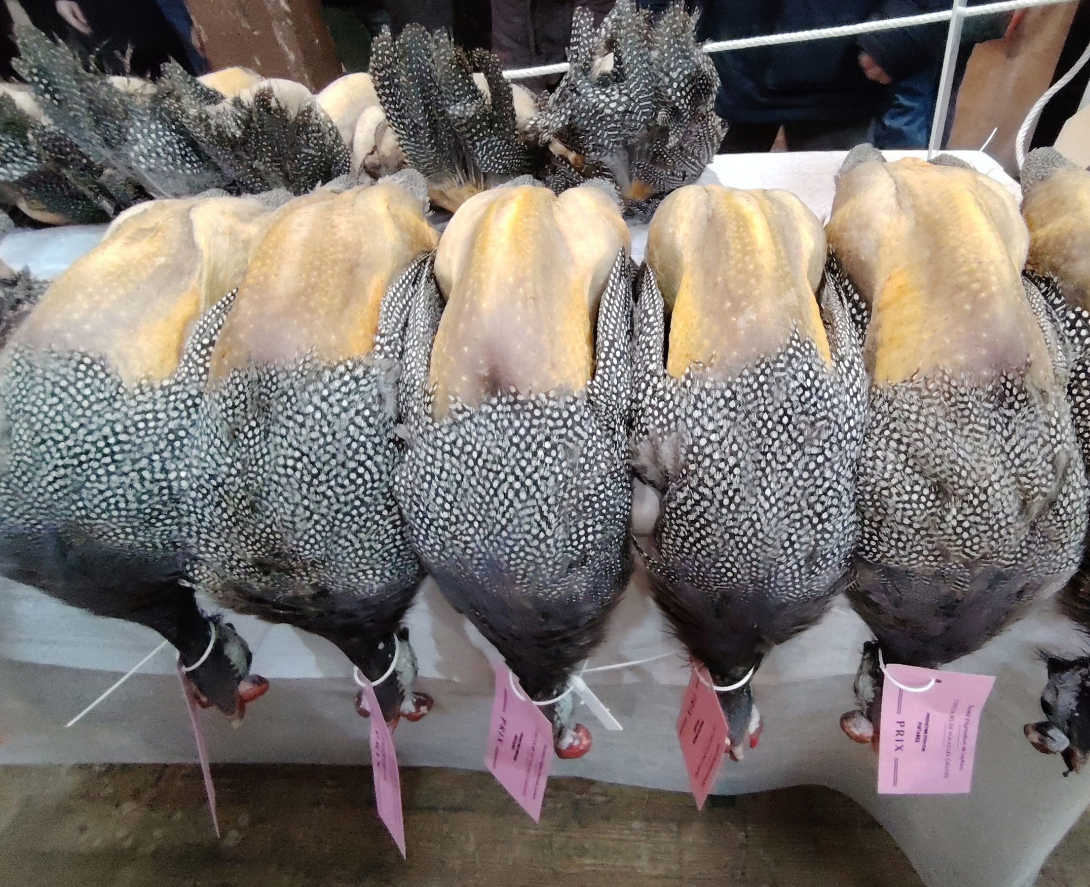 Des dizaines de volailles fines de Bresse