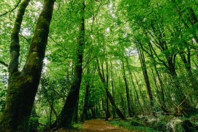 Περιγραφή τεχνολογίας που χρησιμοποιήθηκε