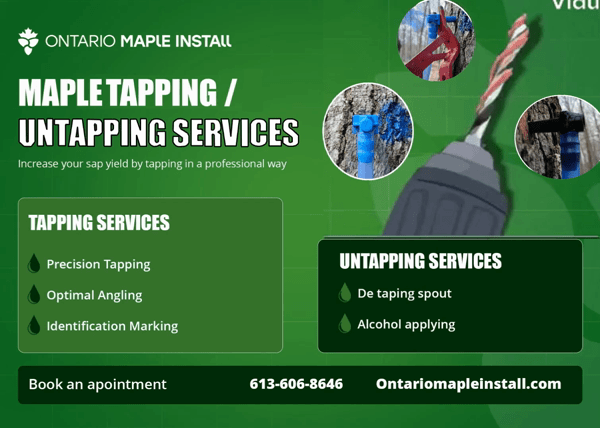 Tapping Services