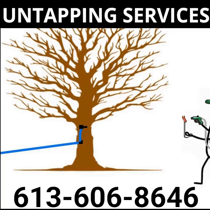 Untapping Services