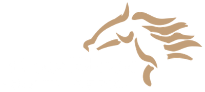 Bloodstock South Africa