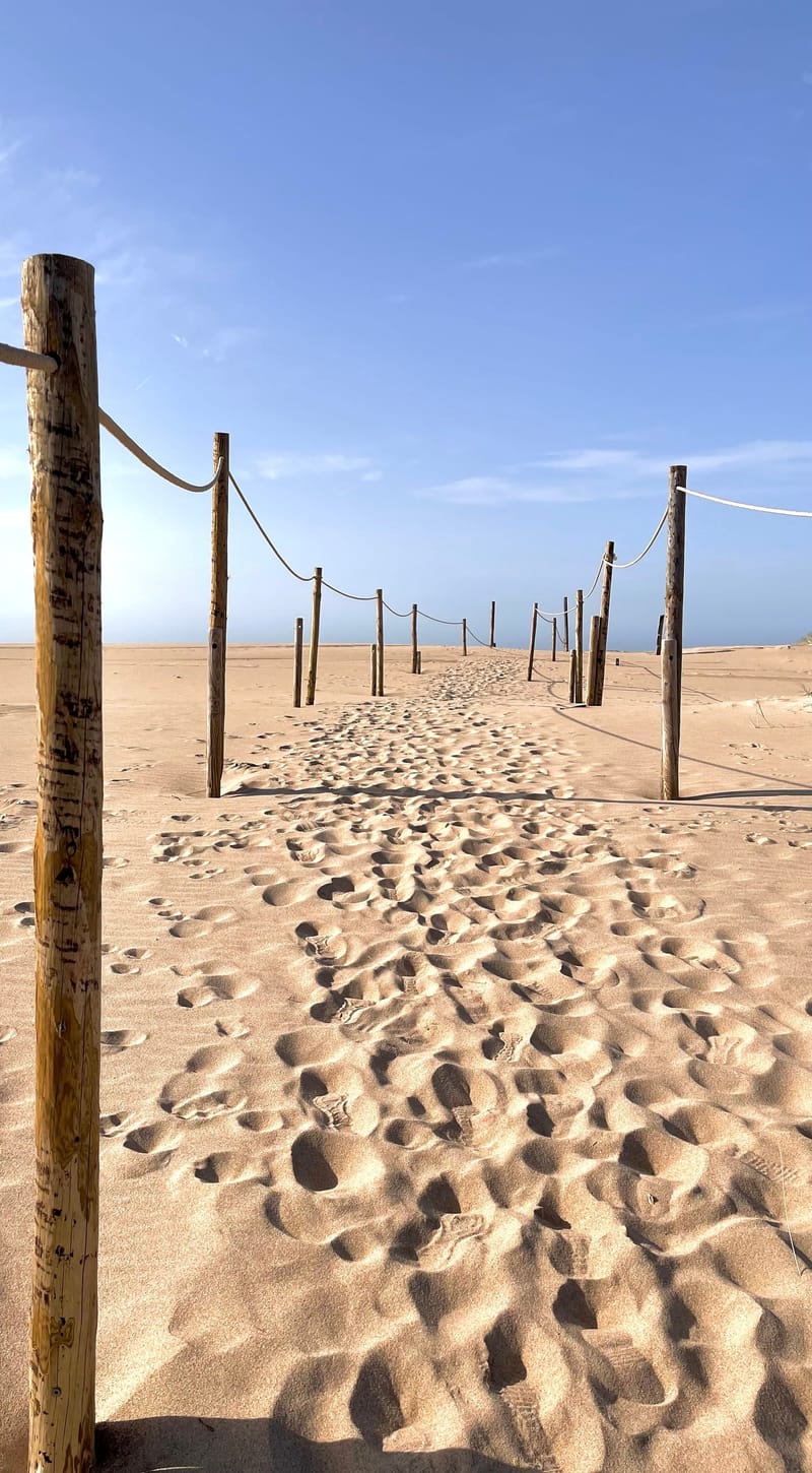 Executive Sensemaking and Decision Support