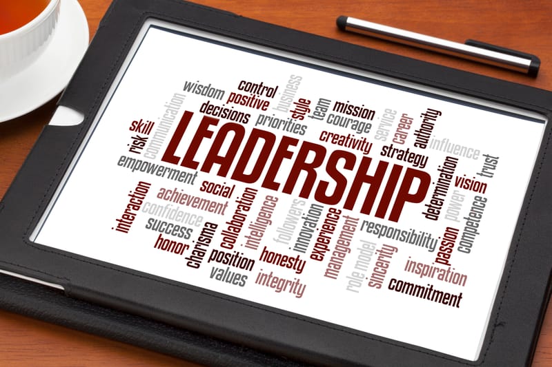 Leadership Practices and Organizational Learning Diagnostics
