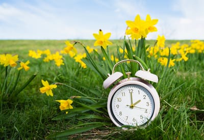 Check In/Check  Out image