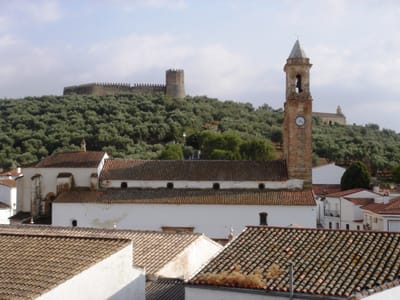 Conoce alanís image