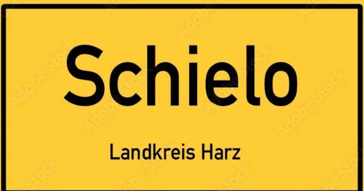 06493 Schielo