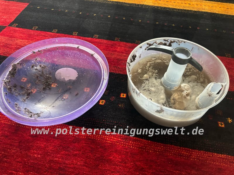 Polsterreinigungswelt in Leipzig-Gohlis