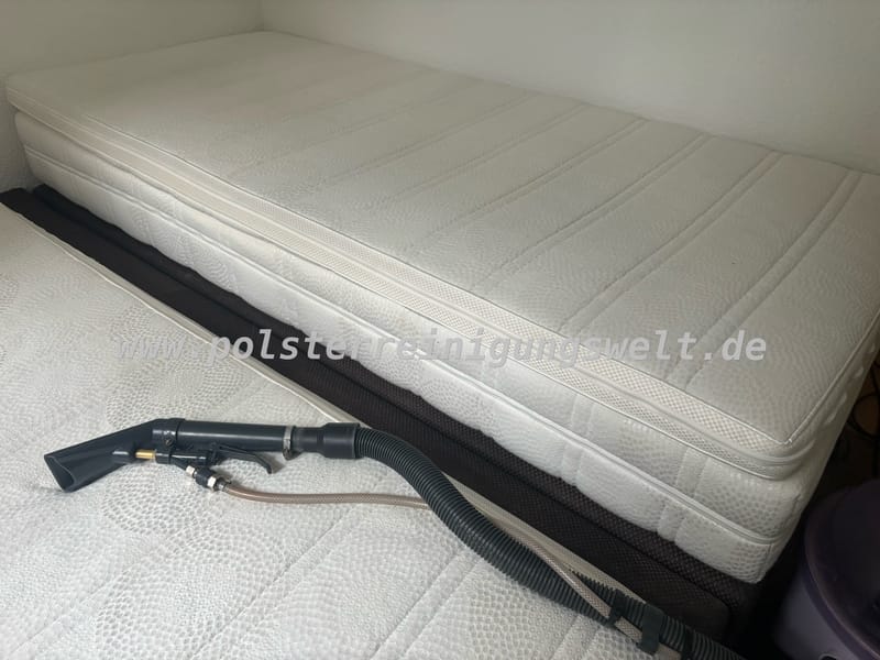 Polsterreinigungswelt in Leipzig-Schönauer Straße