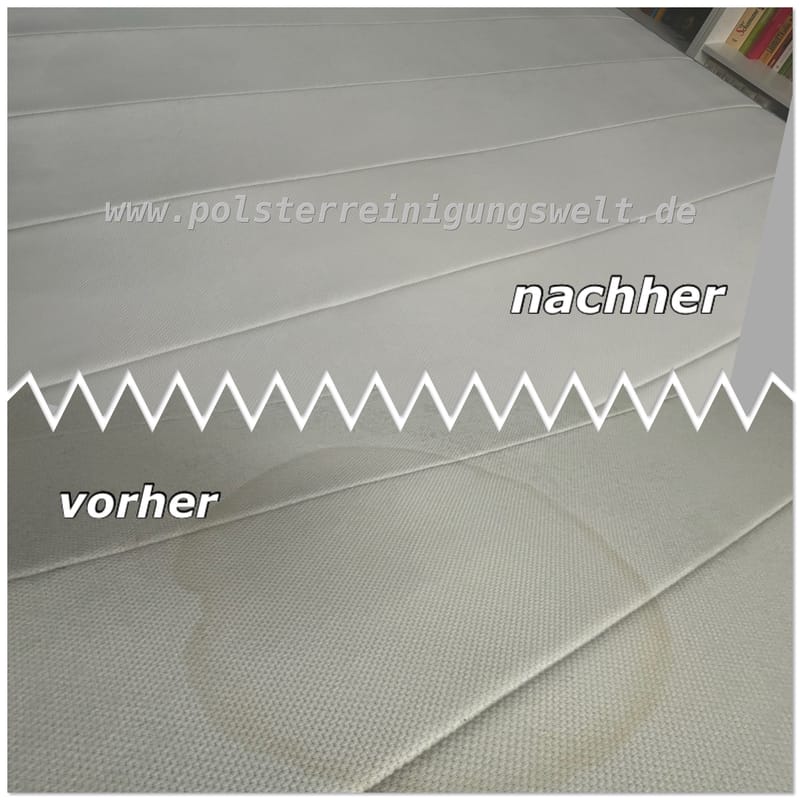 Polsterreinigungswelt heute in L-Leutzsch