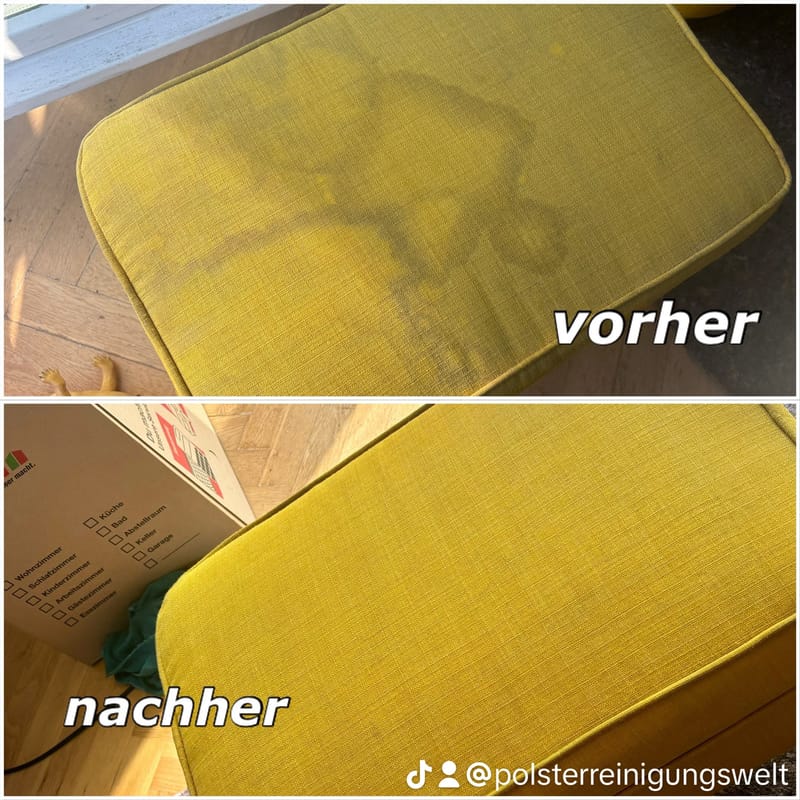 Polsterreinigungswelt berichtet heute Aus Stötteritz