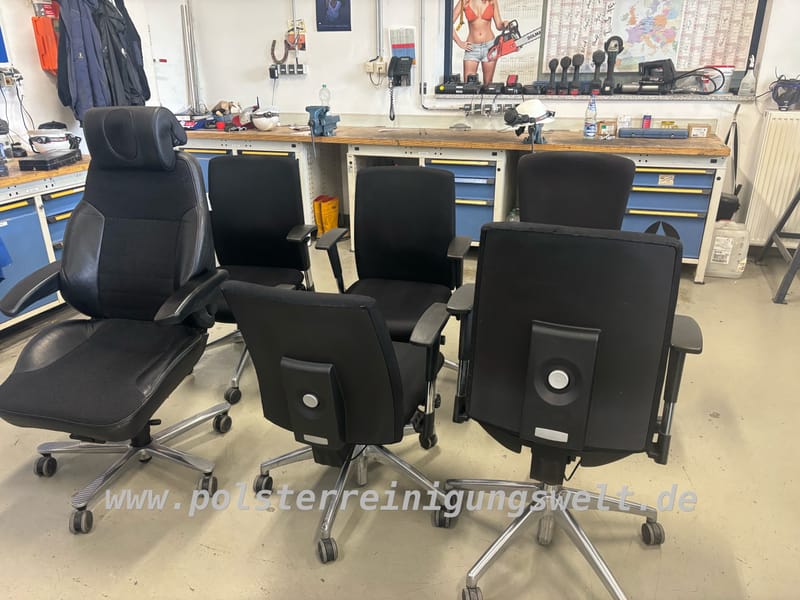 Polsterreinigungswelt