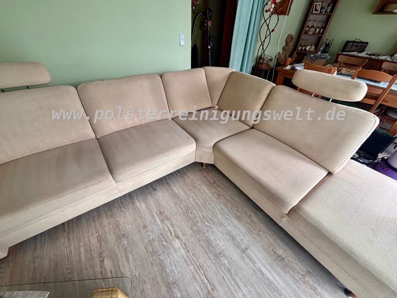 Polsterreinigung zum Frühlingsanfang in Leuna!