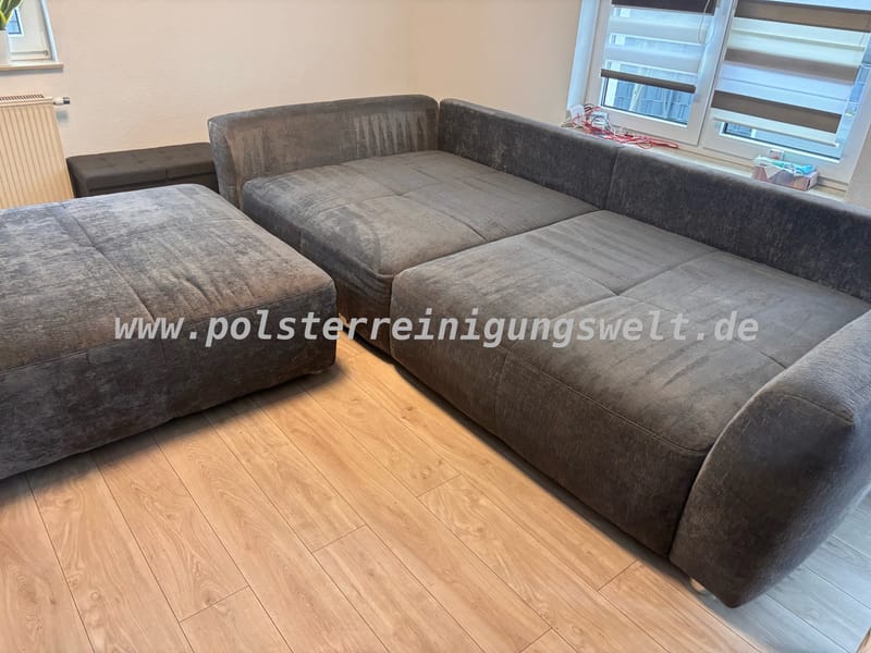 Katzenhinterlassenschaften  🐈