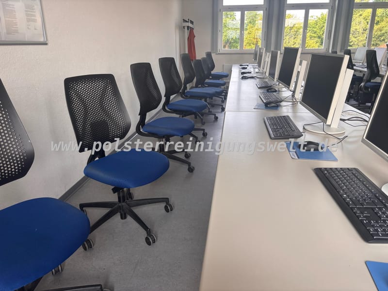 Polsterreinigungswelt im Auftrage der Handwerkskammer zu Leipzig