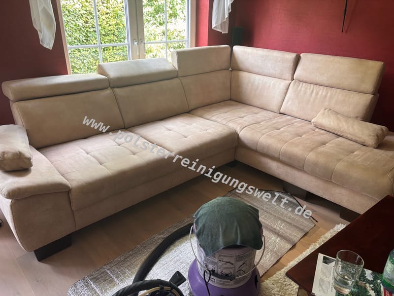 Polsterreinigungwelt in Brandis