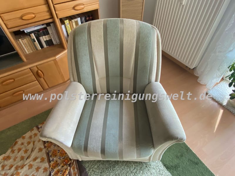 Polsterreinigungswelt schnell bestellt😊